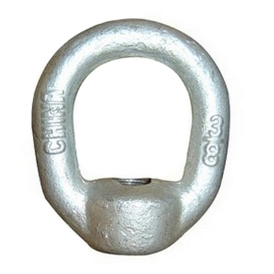 Augen-Nuss heißes Bad-galvanisierte Kohlenstoffstahl Crosby G 400