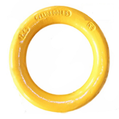 Legierter Stahl geschmiedet ringsum Ring Weldable-D-Clips 3/8&quot; - 2&quot;